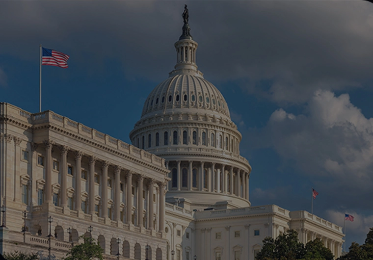 IT Industry web Design services