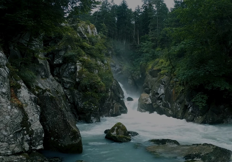 VMVLAIndustry web Design