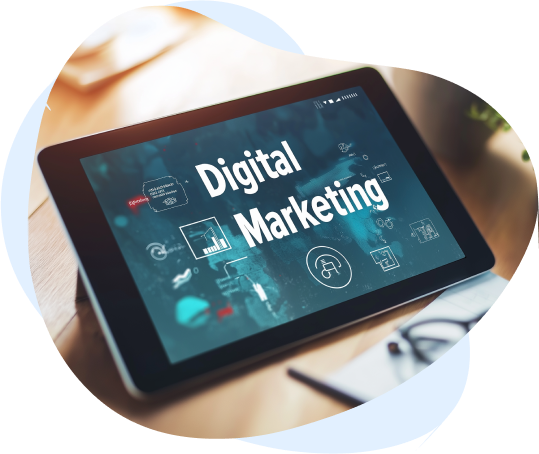 Website design experts