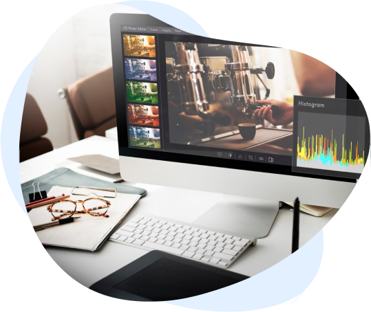 Website design experts