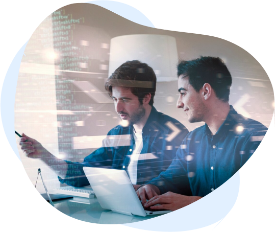 Website design experts