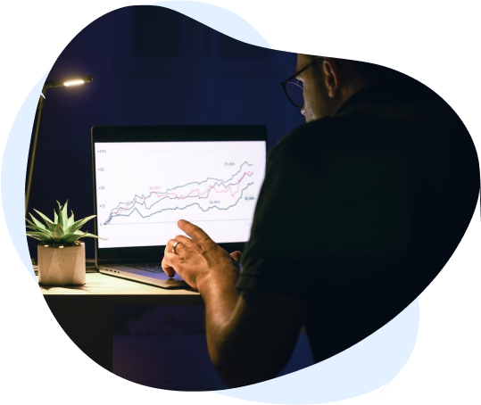 Website design experts