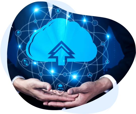 Website design experts