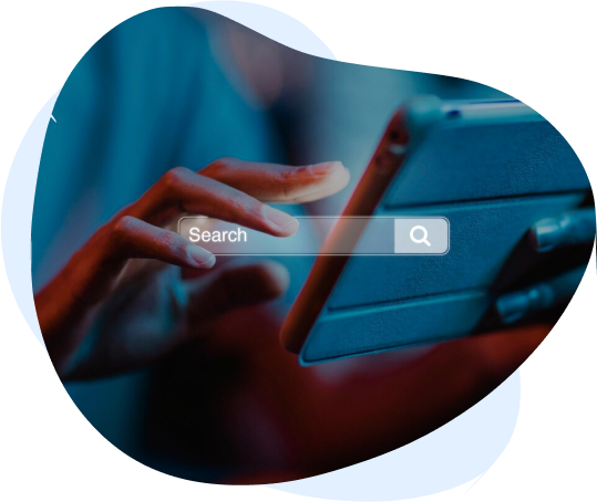 Website design experts