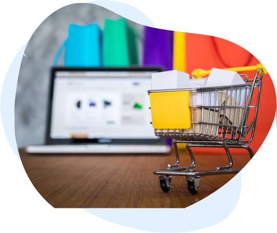 Website design experts