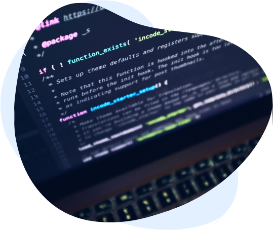 Website design experts