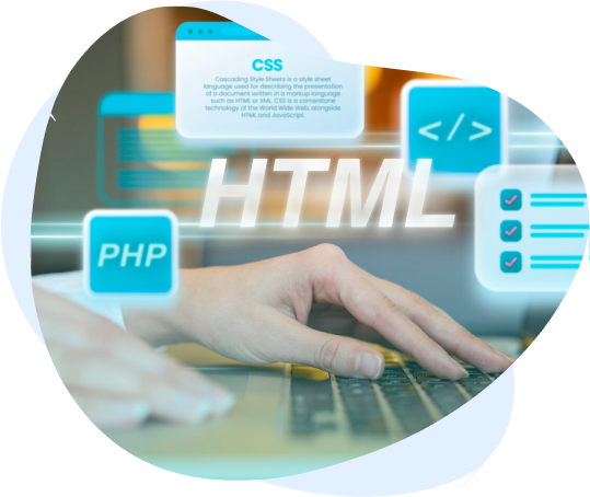 Website design experts